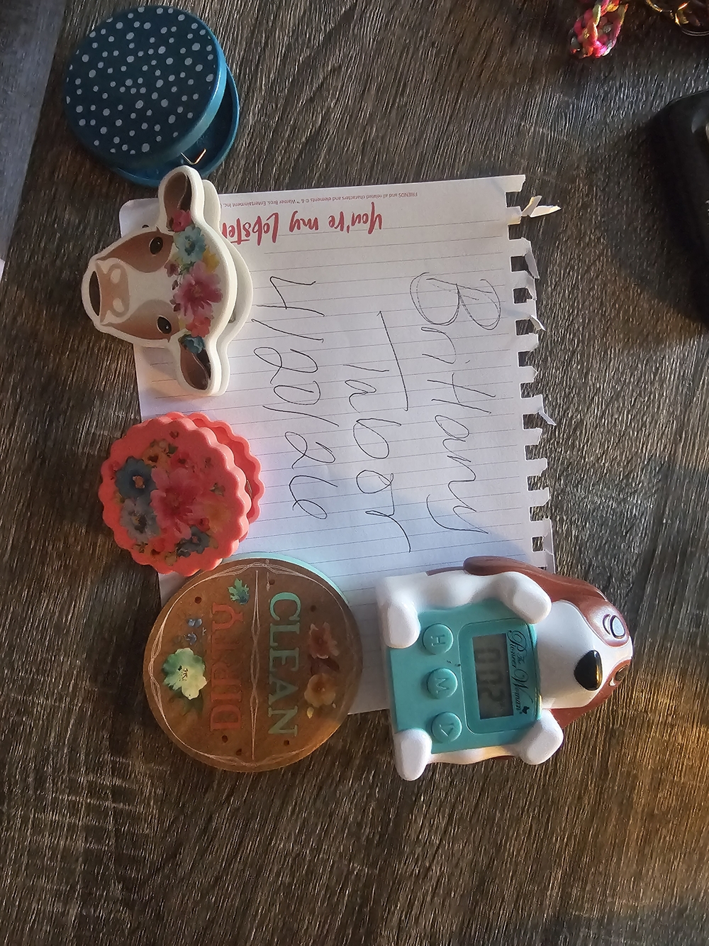 Pioneer Woman Magnet Set And Charlie Timer Magent And Dishwasher Magnet